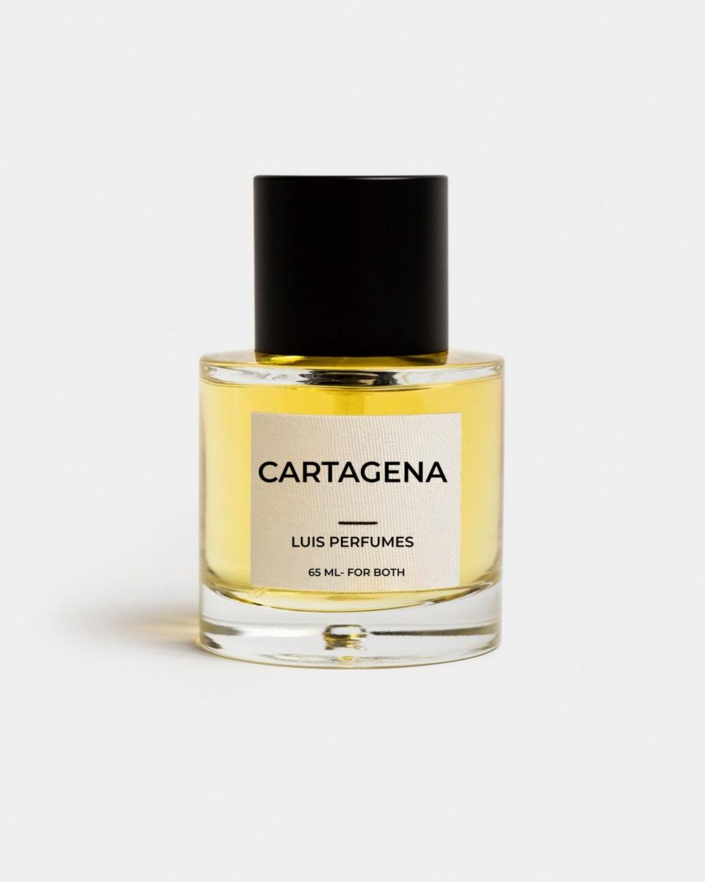 CARTAGENA Inspired BY CAROLINA HERRERA STALLION LEATHER - Luis Perfumes